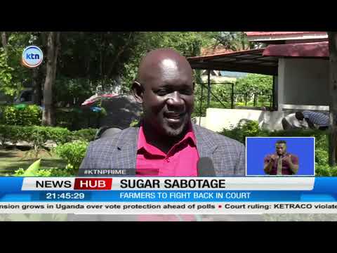 Kenya sugar farmers raise alarm over court battles they say are crippling industry reforms