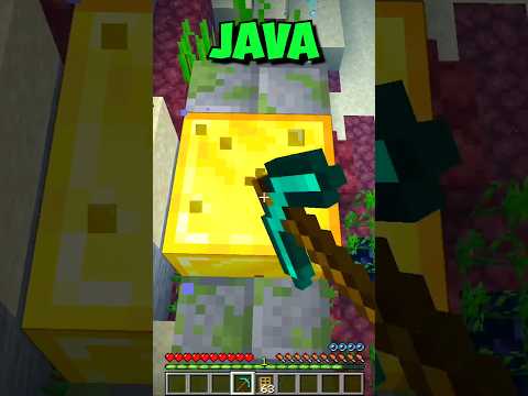 💥 Minecraft Java vs Bedrock RAGE!!! 😡 #shorts