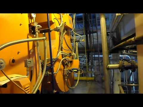 Image IBSR 11 MG Desna Russia