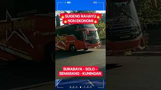 Download lagu SUGENG RAHAYU 🔥 NON-ECONOMY | SURABAYA - SOLO - SEMARANG - KUNINGAN #shorts #shortsfeed #shortsvideo mp3