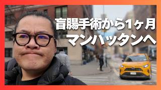 術後初のマンハッタン。無職の父、家族と図書館とランチ