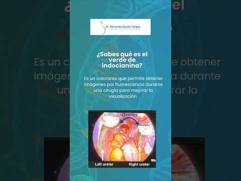 Fernando Garcia Vargas-10