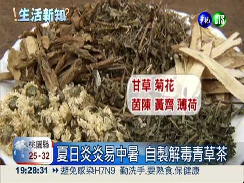 自製便宜青草茶 夏日消暑兼解毒
