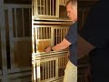 individual breeding pens for racing pigeons