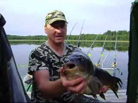 Łowisko Tuszynek zasidka 31 07 2 08 2009Carp Team Trójmiasto