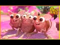 Jungle Bunch Adventures Hypnosis Heists And Races 90 Compilation Cartoon For Kids