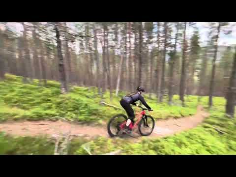 Sogndal, Amlaholten.                                  #kaupanger #bike #mtb