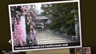 preview picture of video 'Day 7: Koyasan or one day living with monks Oandb's photos around Koyasan, Japan (travel pics)'