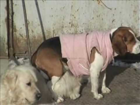 Benny tu esti mare bun si cald!