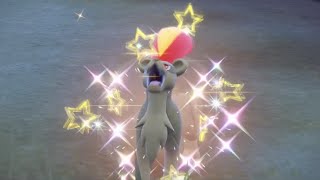"We've Found The Queen Of The Pack" - Pokemon Scarlet Shiny Encounter