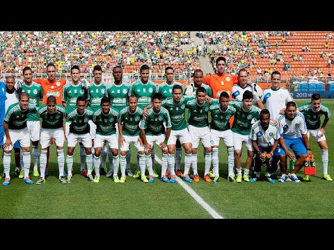 Palmeiras no Brasileiro 2013