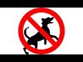 ️ How To Stop A Dog Barking Ultrasonic Bark Control Keep A Dog Out Of Garden 12 Hours