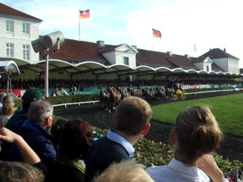 Zwannzig-Spänner aus Neustadt/Dosse im Landgestüt Celle bei der Hengstparade