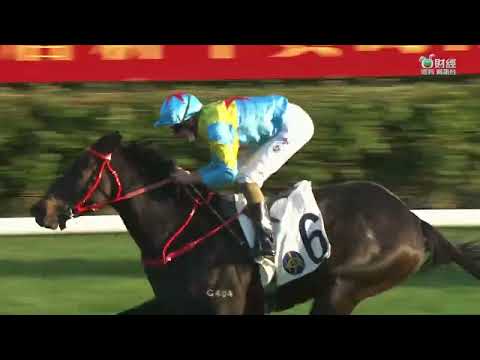 2022/23 (366) - Victor The Winner (維港智能) - 布文