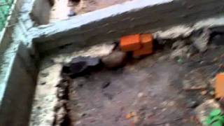 Miguel y Miguel- Déjenme  llorar