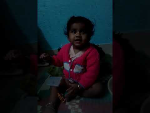 Srikar balancing animals and dolls