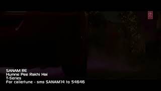Humne Pee Rakhi Hai VIDEO SONG | SANAM RE| Divya Khosla Kumar, Jaz Dhami, Neha Kakkar, Ikka
