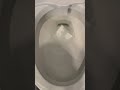 Charmin - New no tear design clogs toilets does not absorb
