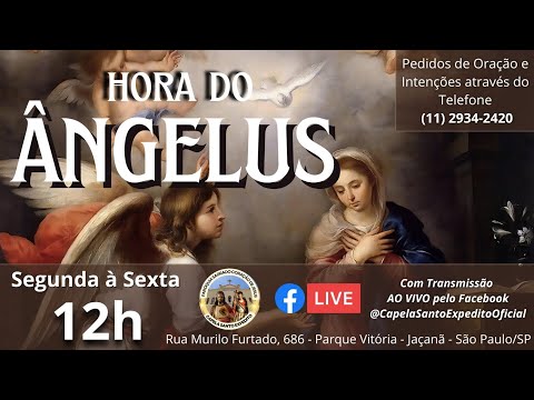 Hora do Ângelus | 24/11/2025  - 12h