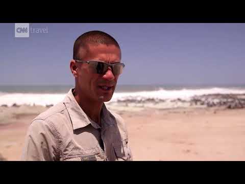 TOERISME GRAAD 11: 25 Junie 2020 - periode 8 (25118)