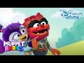 Muppet Babies | Kalmeer Animal! ⭐️ | Disney Channel NL