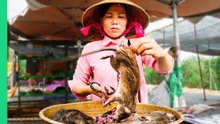 Asia’s SHOCKING Live Animal Market!!! Extreme Food Tour in the Mekong Delta! video