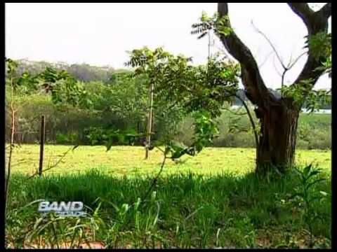 Band Cidade Campinas - Parque em Barão Geraldo - 10 10 2012