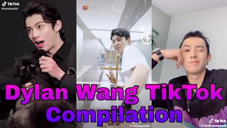 Download lagu Dylan Wang Update: Dylan Cute TikTok Compilation 2020 [DyShen] | DYSHEN UPDATES mp3