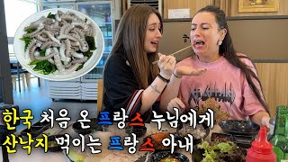 한국에 처음 방문한 프랑스 누님에게 산낙지 먹이는 프랑스 아내 ㅋㅋ