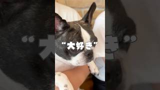 大好き