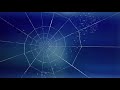 Deep in the Dark | Charlotte's Web [1973]