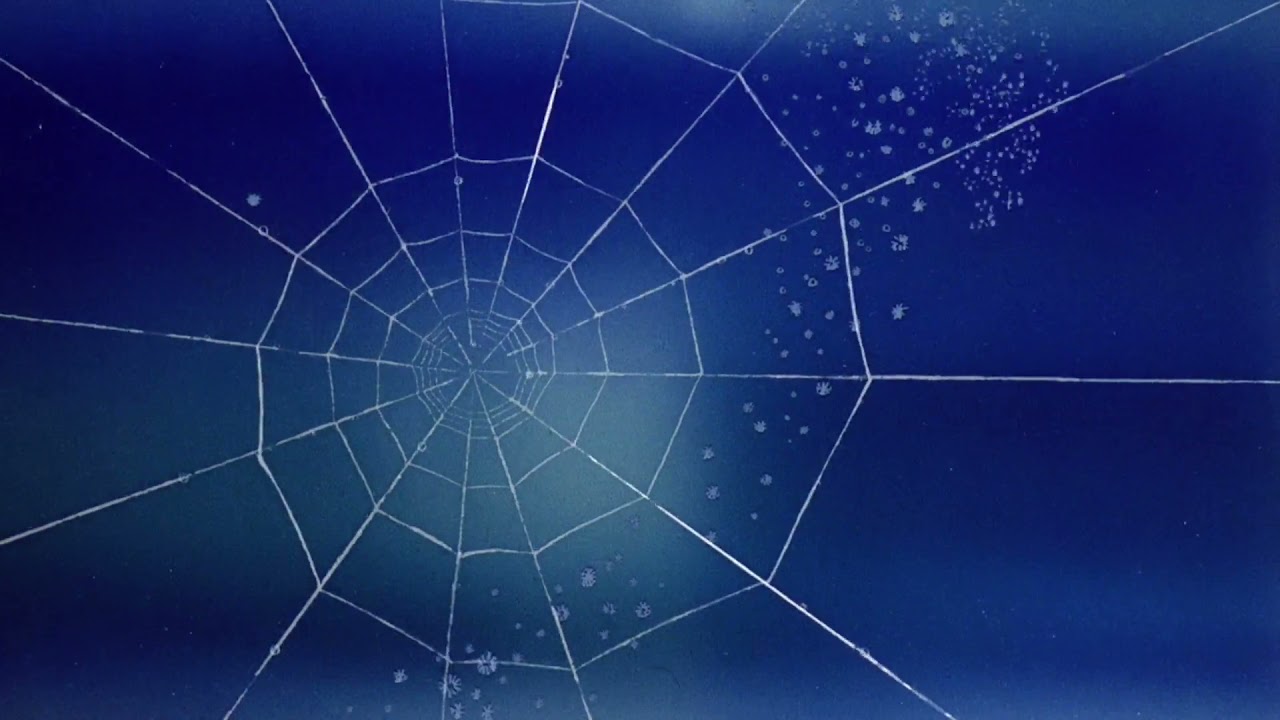 Deep in the Dark | Charlotte's Web [1973]