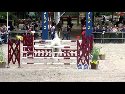 WM Junge Springpferde Lanaken - Clicksem v. Cardino-Littorio