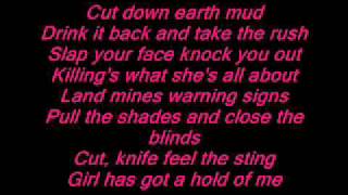 The Kicks  Hawk Eyes Lyrics