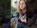 Recreating frog tone by @EddieEWI #guitar #guitarist