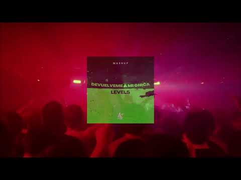 Hombres G x Avicii - Devuelveme A Mi Chica x Levels (LST CNTRL Mashup)