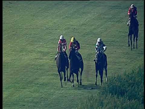 Galoppo 28/08/2019 - 6ª corsa