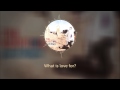 Ms Crumby - The Audition [Lyric Video] 