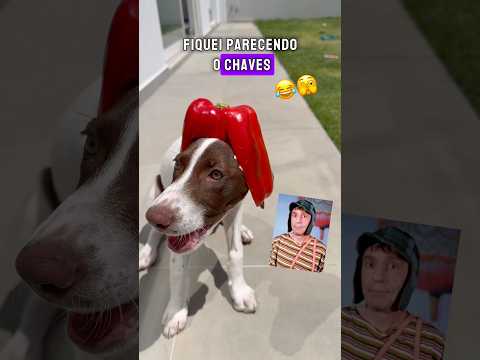 Se você roubar, você USA!😂🙈 #shortsindia #shorts