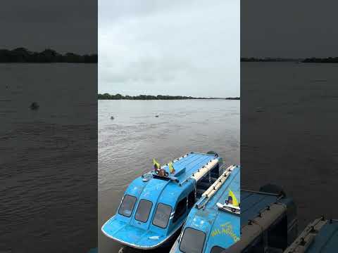 Impresionante Río Magdalena Gamarra César #pesca