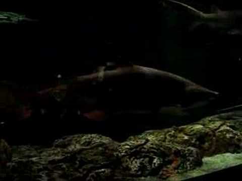 Baltimore Trip  Anubha Sinha