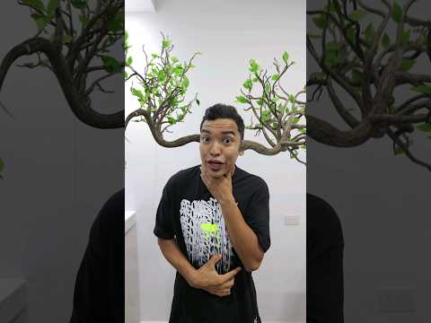 NO TE COMAS LAS SEMILLAS DE LA SANDIA Creditos a la animacion 3D @aki_sv  #comedia