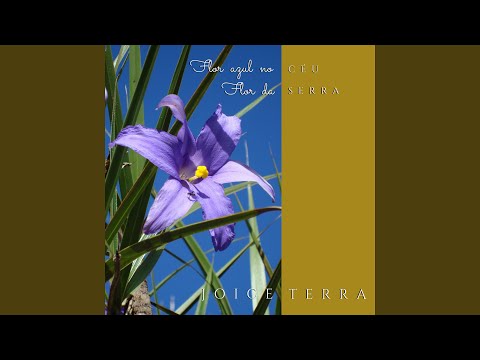Flor Da Serra - Joice Terra