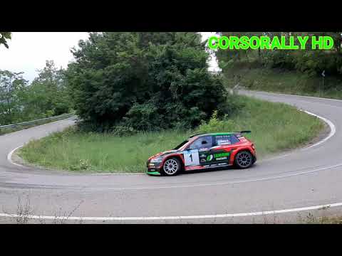 3° Rally di Salsomaggiore Terme 2020 Show and Mistake