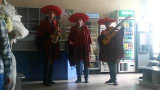 Серенад в Ереване. serenade in the hospital.Серенада в роддоме.
