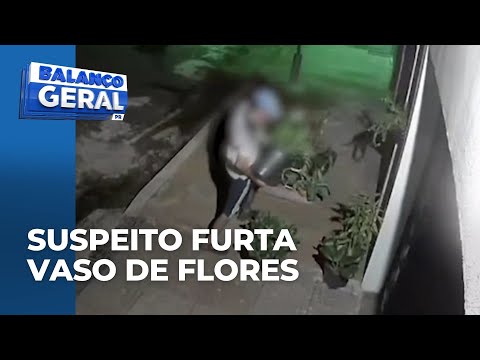 Câmera de segurança flagra suspeito furtando vaso de flores em Sarandi