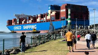 Navio de 335,90 m de comprimento por 51 de largura NOVO Parque Náutico Itajaí