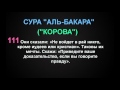 СУРА "АЛЬ-БАКАРА" ("КОРОВА") аят - 111 