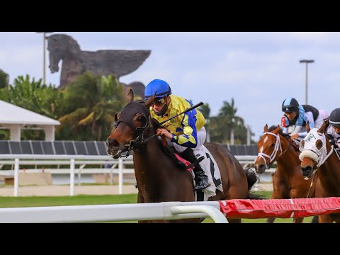 2022 Tropical Turf Stakes Replay And Recap