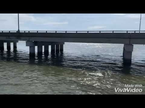 James river pier fish check